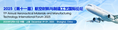 2025新能源航空