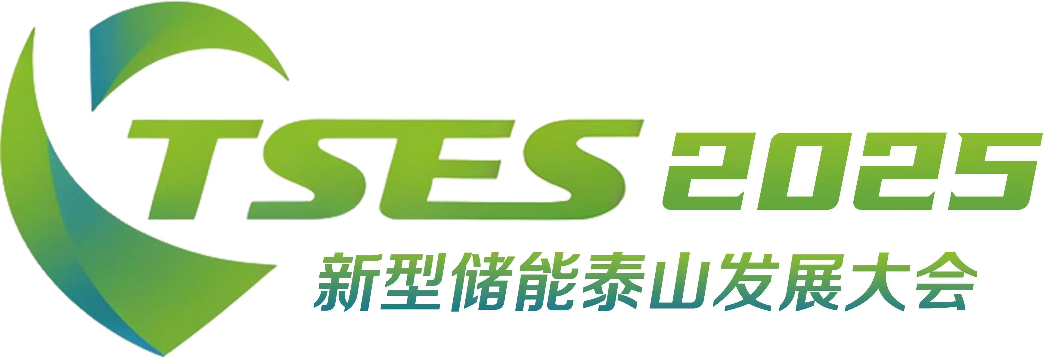 新型储能泰山发展大会